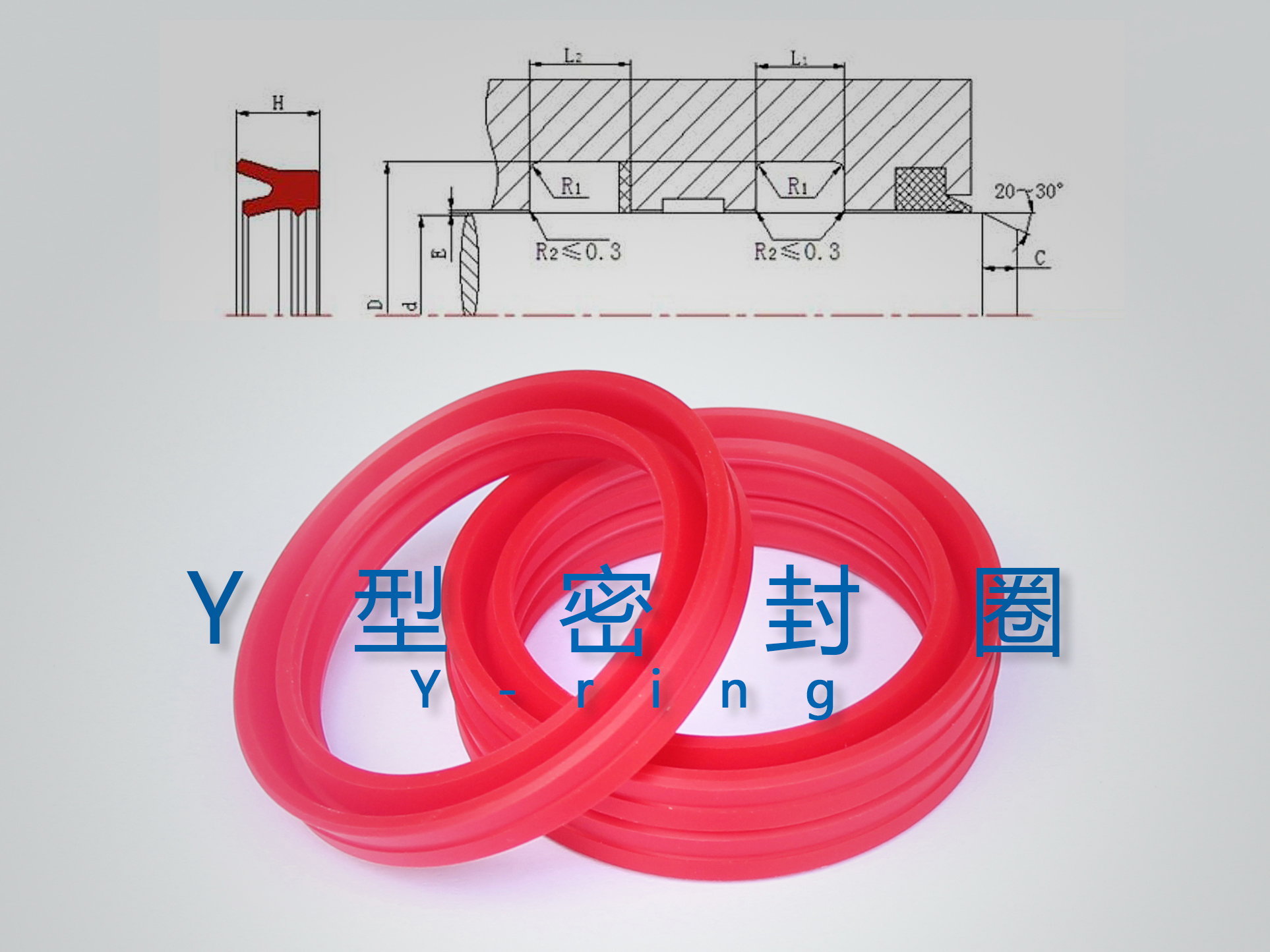 Y型密封圈（密封件、油封）與截面結(jié)構(gòu)產(chǎn)品圖.jpg