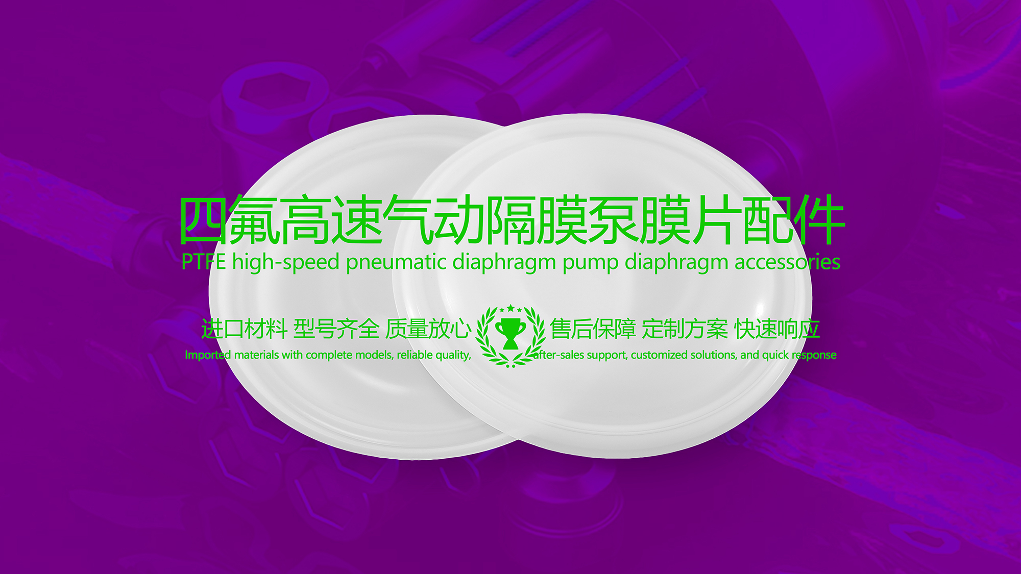 四氟高速氣動隔膜泵膜片配件密封件密封圈油封 (2)